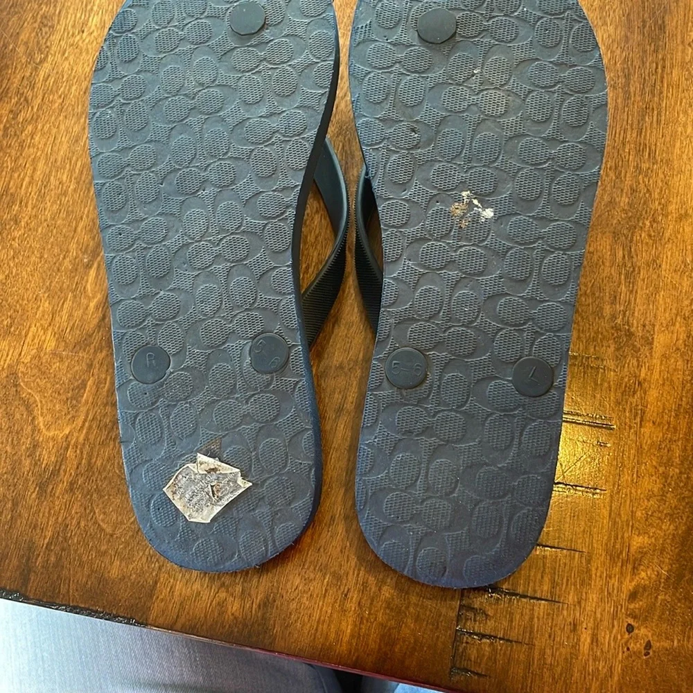 Coach Alessa Women's Patterned Blue Sandals